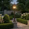 Gothic Grassland Lamp