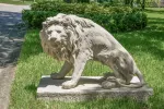 Symmetrical Pair of 39 Inch Entry Lions in Rough Stone