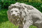 Symmetrical Pair of 39 Inch Entry Lions in Rough Stone