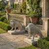 Symmetrical Pair of 39 Inch Entry Lions in Rough Stone
