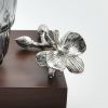 Silver Monarch Butterfly Jar Set on Wood Tray