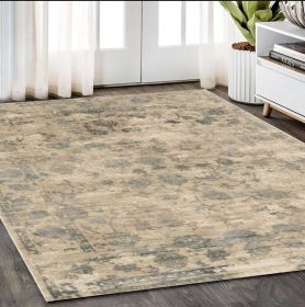 5' X 7'  Viscose Sand Or  Blue Area Rug