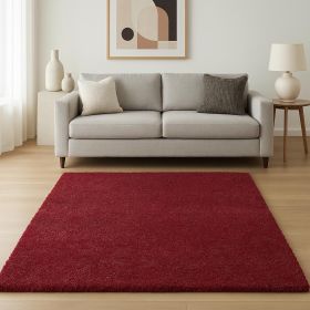 9' X 13' Red Hand Woven Area Rug