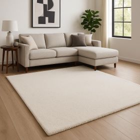 9' X 13' Ivory Hand Woven Area Rug