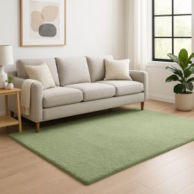 5' X 7' Spearmint Green Indoor Shag Rug
