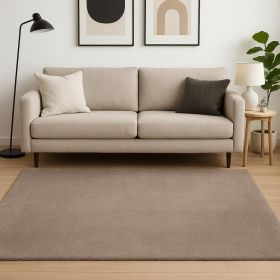 5' X 7' Beige Indoor Shag Rug
