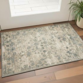 3' X 5' Beige and Blue Floral Area Rug