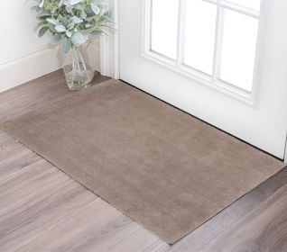 2' X 4' Beige Indoor Shag Rug