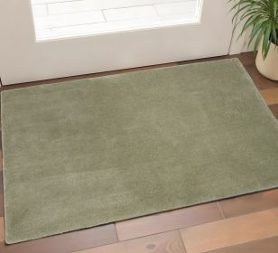 2' X 4' Sage Green Hand Woven Area Rug