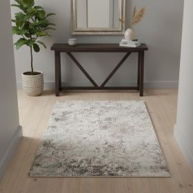 4' X 6' Gray Abstract Area Rug