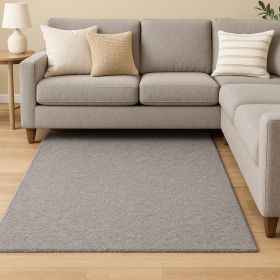 8' X 11' Modern Shaggy Soft Gray Indoor Area Rug