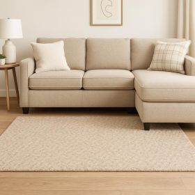 10' X 13' Modern Soft Tan Indoor Area Rug