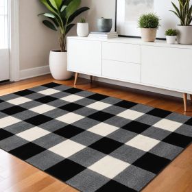 4' X 6' Monochromatic Gingham Pattern Indoor Area Rug