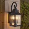 23"h Vintage Black Metal Sconce with Clear Seeded Glass for Porch, Patio, and Garden (Bulb Not Included)