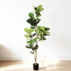 6' Tall Artificial Fiddle Leaf Fig Tree with Black Plastic Pot, Real Touch Indoor Plant