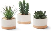 Set of 3 Faux Artificial Succulent Cactus Plants in Ceramic Pots