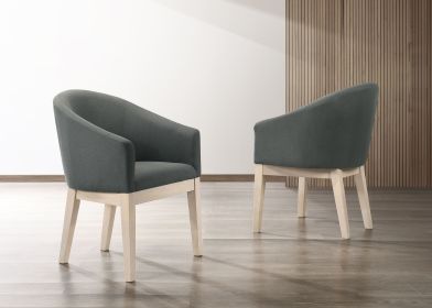 Set of 2 23" Gray Neroli Barrel Accent Chairs