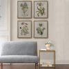 4-Piece Framed Canvas Wall Art Set. Botanical Illustrations.Martha Stewart Bedford Collection.