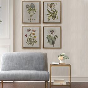 4-Piece Framed Canvas Wall Art Set. Botanical Illustrations.Martha Stewart Bedford Collection.