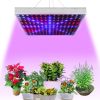 225 LEDs Hanging Full Spectrum Grow Light. Indoor Grow Light.