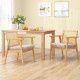 Set of 2 Mid Century Accent Chairs with Breathable Rattan Back