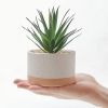Set of 3 Faux Artificial Succulent Cactus Plants in Ceramic Pots