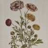 4-Piece Framed Canvas Wall Art Set. Botanical Illustrations.Martha Stewart Bedford Collection.