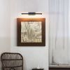 Black Battery Operated Accent Light for Wall Art and Paintings. Remote, LED with Rechargeable Dimmable and Timer