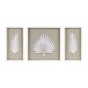 Madison Park Sabal Framed Rice Paper Palm Leaves Wall Décor Set