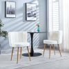 Set of 2 Modern White dining chair with iron tube wood color legs, shorthair cushions and comfortable backrest