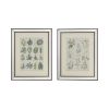 2 Pieces 15.7” x 19.7" Liana Mirror Framed Wall Art on Mellow Golden Tint Background