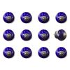 Set of Twelve Ceramic Drawer Pull Knobs