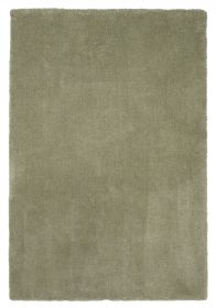 5' X 7' Sage Shag Hand Woven Area Rug