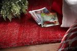 2' X 4' Red Shag Hand Woven Area Rug