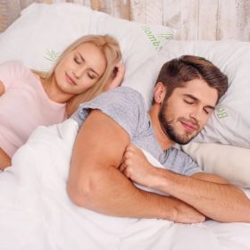 King Size Bamboo Hypoallergenic Memory Foam Bed Pillow With Washable Cover (Option: White)