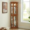 Lighted Corner Curio Cabinet Corner Glass Front Display Shelving with Tempered Glass Door