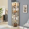Lighted Corner Glass Front Curio Corner Display Case